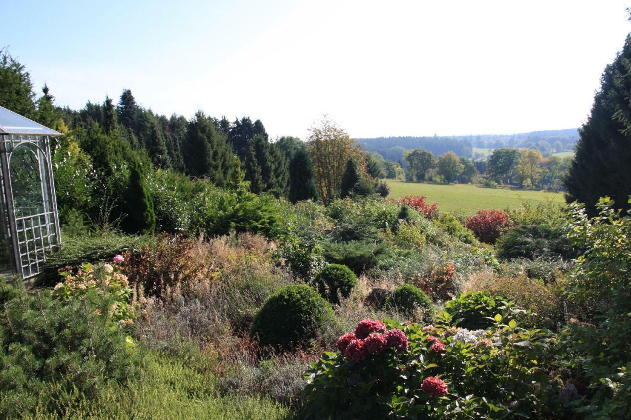 Ferienhaus Sonne, Harz Und Sterne Vila Hohegeiß Exterior foto