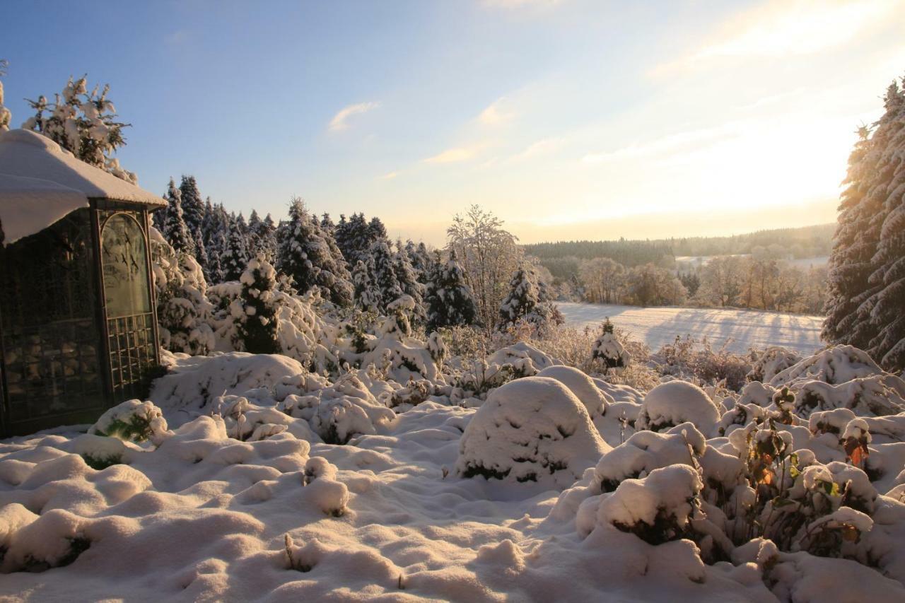 Ferienhaus Sonne, Harz Und Sterne Vila Hohegeiß Exterior foto