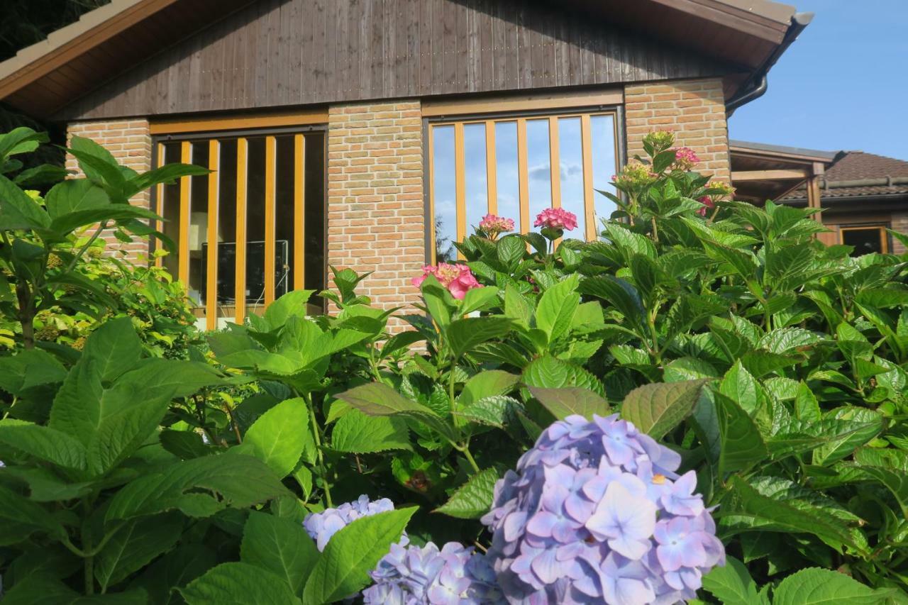 Ferienhaus Sonne, Harz Und Sterne Vila Hohegeiß Exterior foto